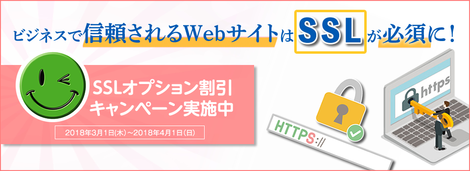 より安全に安心してWebサイトの運営をSSLセットプラン新登場 必要なものを全部セットで！ ベーシックプラン SSL証明書 ドメイン取得維持管理